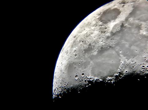 Procurement Pioneers